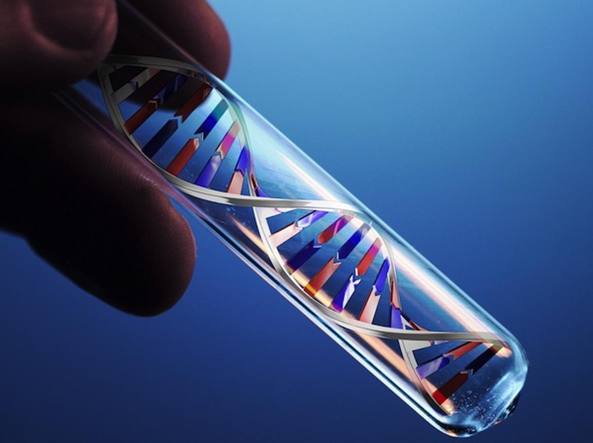 DNA il cibo ed il corpo: Nutrigenetica e Nutrigenomica Analisi delle predisposizioni genetiche